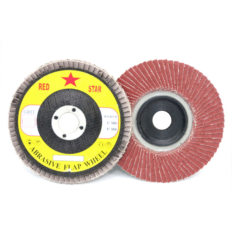 Rigid Flap Disc (CS310)